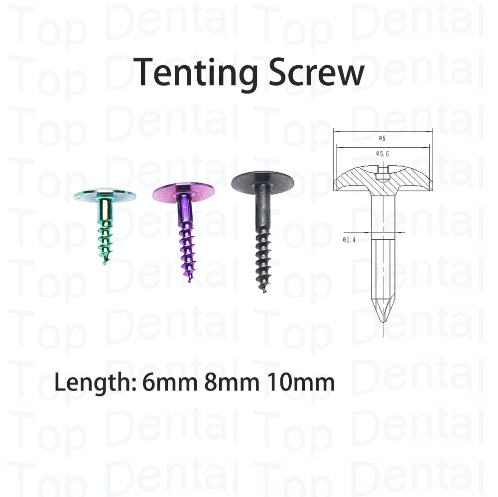 10pcs Dental GBR System Bone S - Stabilizer Screw In incelemesi ve fiyatı