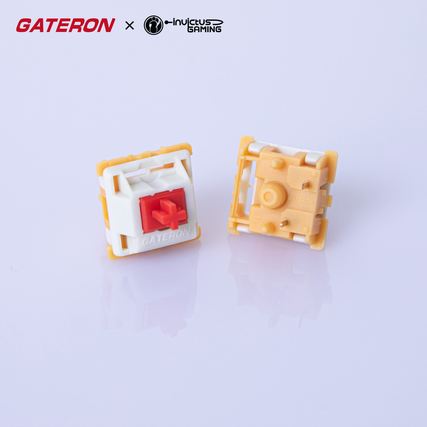 GATERON Mini i Switch Ahead Ta - Gaming Keyboard Mini Mechanical incelemesi ve fiyatı